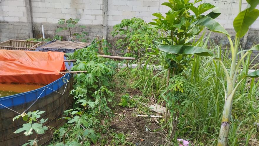 Inovasi Tiada Henti: Mempersiapkan Masa Purna Pengabdian